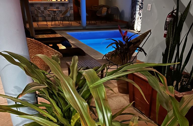 Screenshot 2025-09-12 at 12.11.29 p.m.